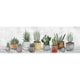 thumbnail image 1 of Marmont Hill Colored Plant Pots Painting Print on Wrapped Canvas, 1 of 5