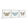 thumbnail image 1 of Marmont Hill Colorful Butterflies Triptych, 1 of 5