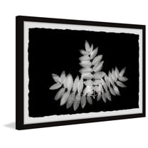 Marmont Hill Contrasting Leaves Framed Painting Print