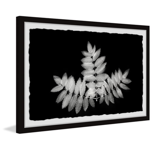 Marmont Hill Contrasting Leaves Framed Painting Print