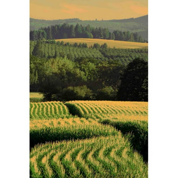 Marmont Hill "Corn Rows" Painting Print on Canvas