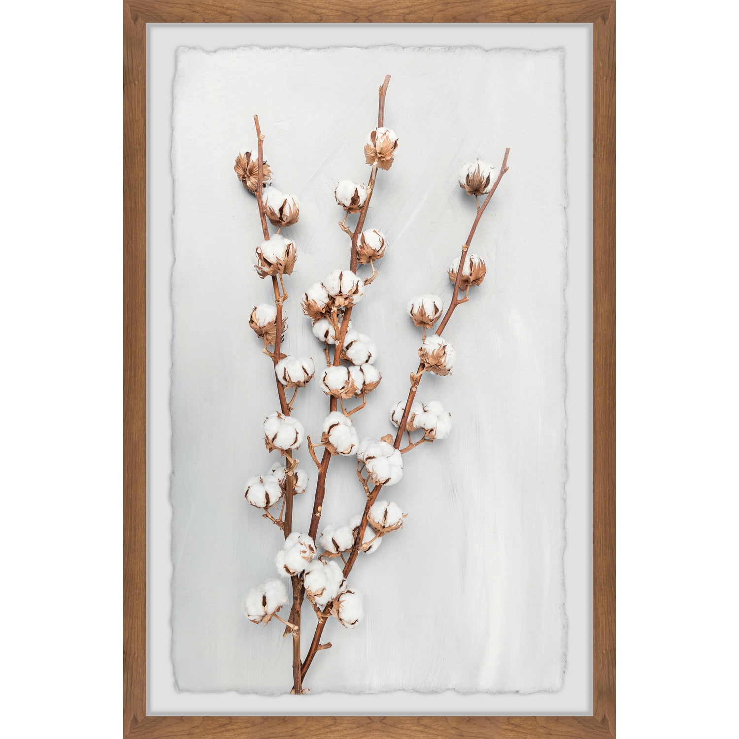 30" x 20" White Cotton Plant Framed Print