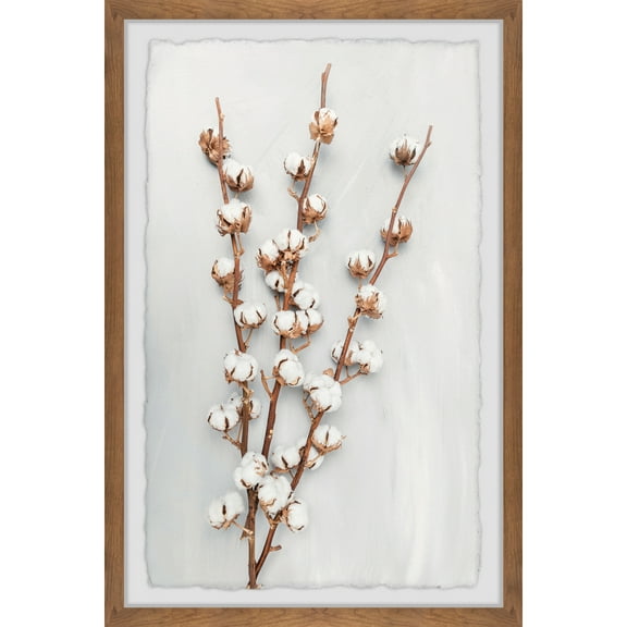 Marmont Hill Cotton Plant Framed Painting Print