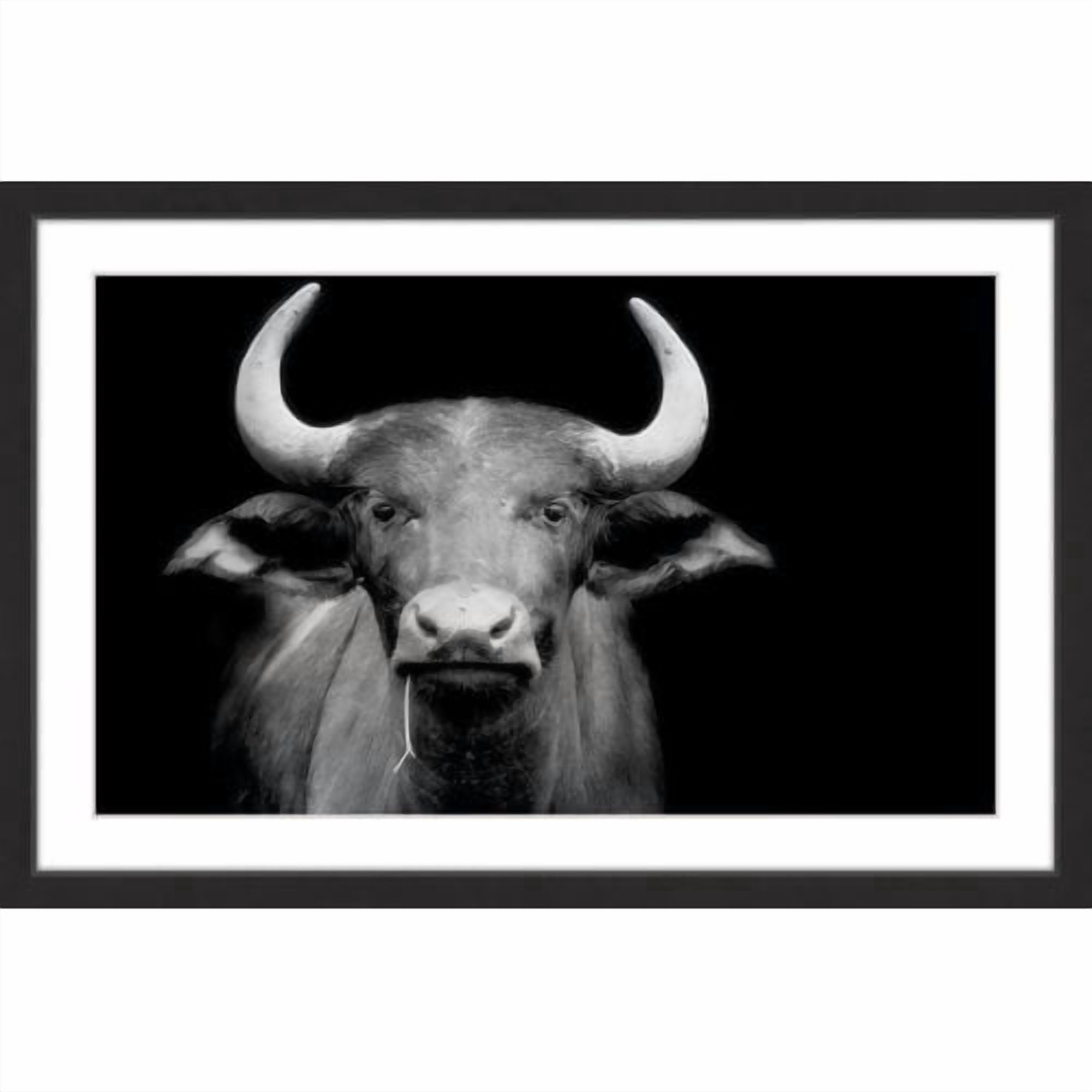 Marmont Hill "Cow Stare" Framed Painting Print