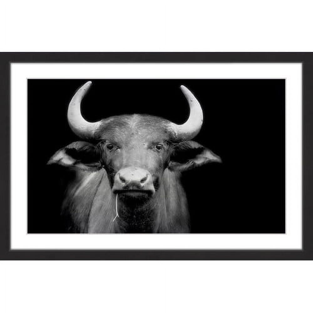 Marmont Hill "Cow Stare" Framed Painting Print