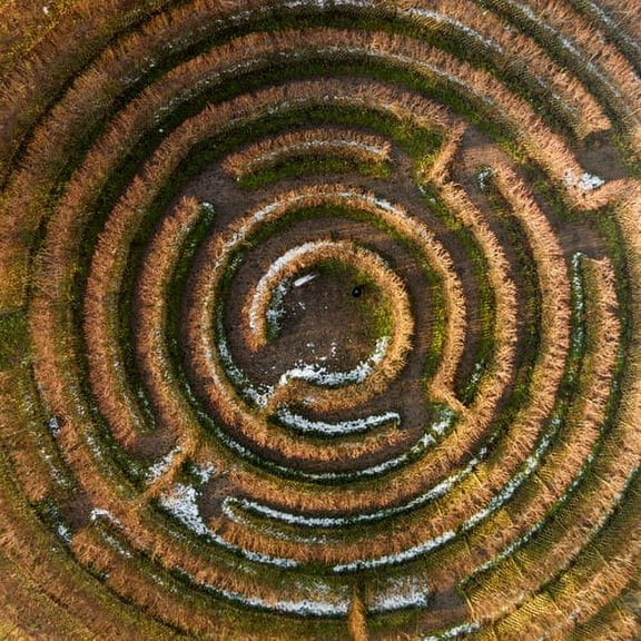 Marmont Hill "Crop Circle" by Karolis Janulis Painting Print on Wrapped Canvas