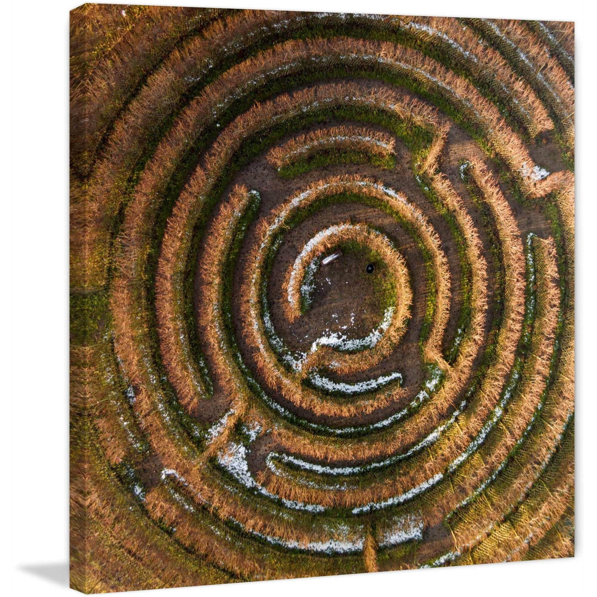 Marmont Hill "Crop Circle" by Karolis Janulis Painting Print on Wrapped Canvas