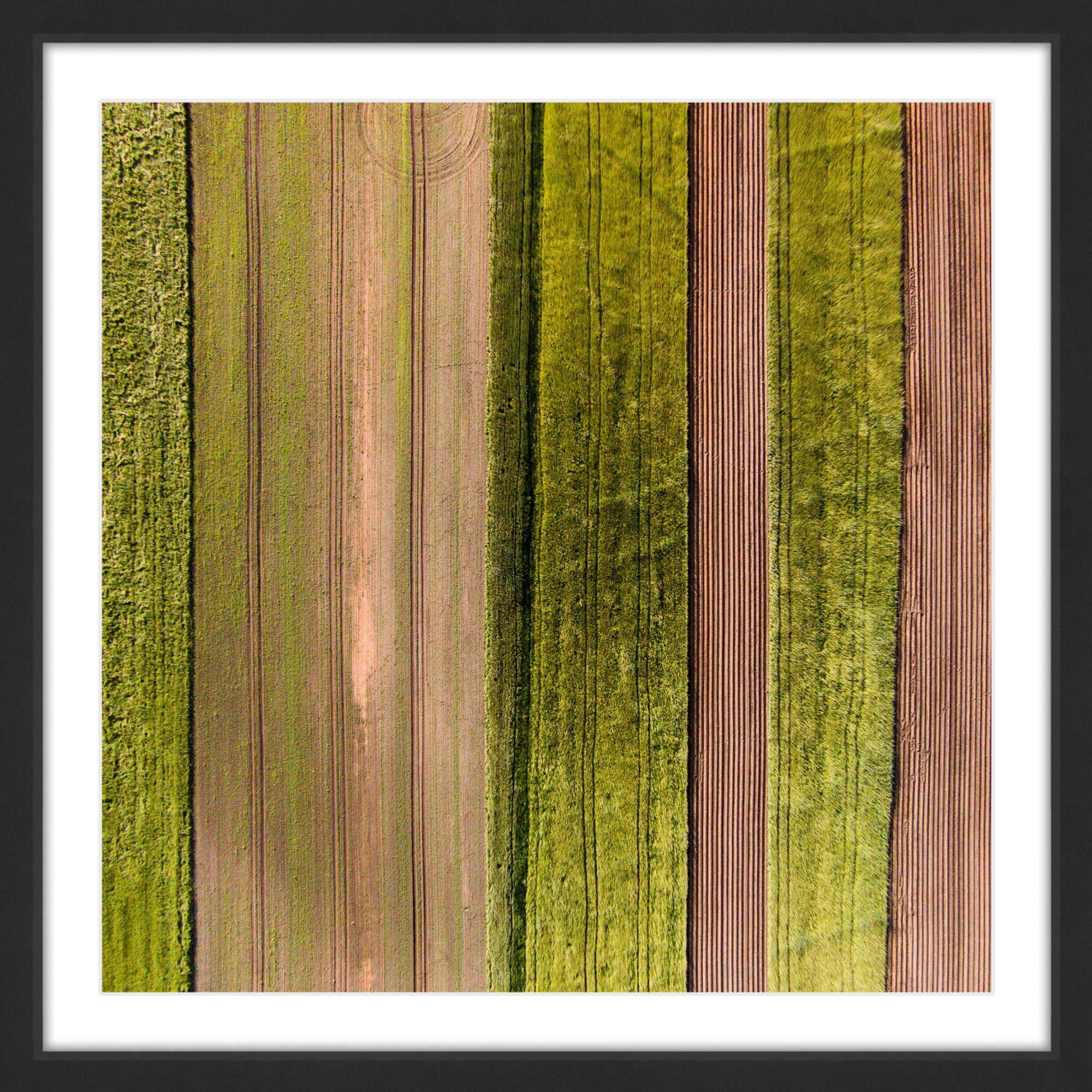 Marmont Hill "Crop Rows" By Karolis Janulis Framed Painting Art Print, 24.0" x 1.5"