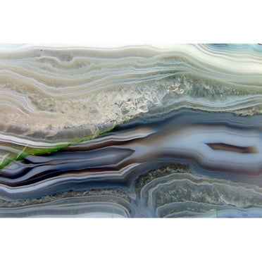 Marmont Hill "Crustations" Painting Print on Wrapped Canvas