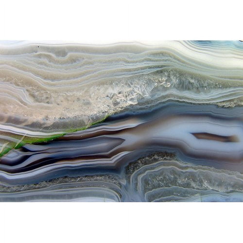 Marmont Hill "Crustations" Painting Print on Wrapped Canvas