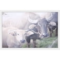 thumbnail image 1 of Marmont Hill "Curious Bovines" Framed Painting Print, 1 of 5