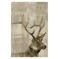 thumbnail image 1 of Marmont Hill Curious Buck Painting Canvas Print Wall Art, 1 of 7