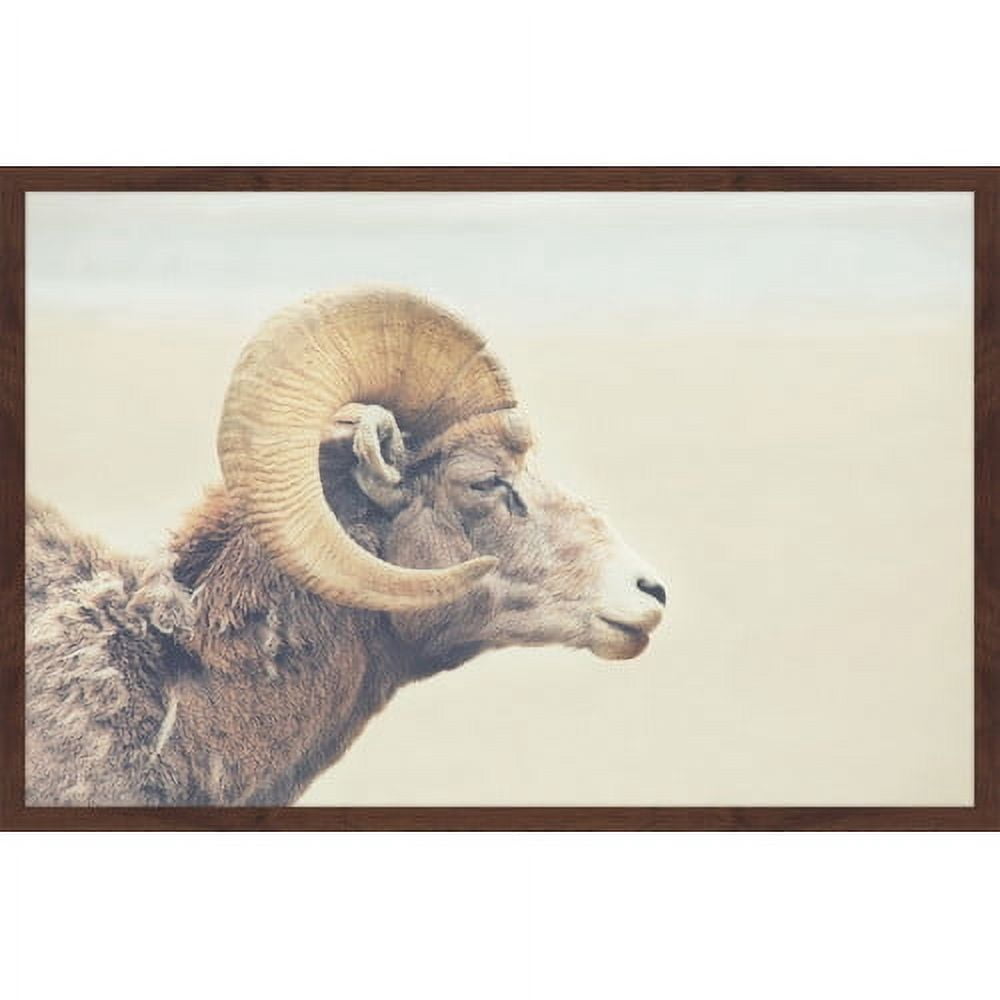 Marmont Hill "Curled Horns" Framed Painting Print