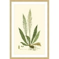 thumbnail image 1 of Marmont Hill "Curtis Ferns III" Framed Painting Print, 1 of 5