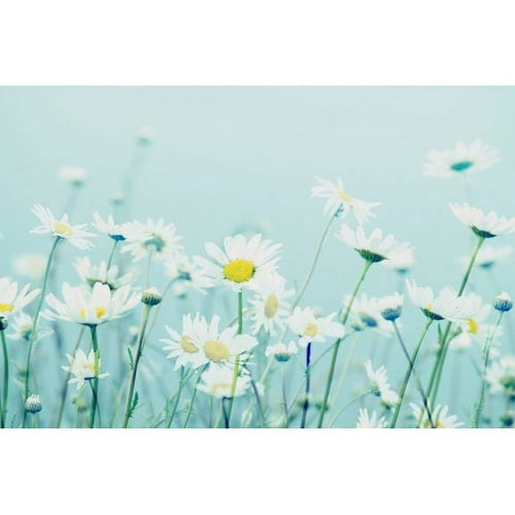 Marmont Hill 'Dancing Daisies' by Robin Delean Painting Print on Wrapped Canvas