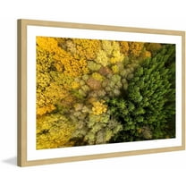 Marmont Hill "Dense Growth" by Karolis Janulis Framed Painting Print