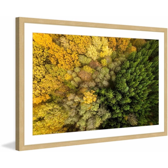 Marmont Hill "Dense Growth" by Karolis Janulis Framed Painting Print