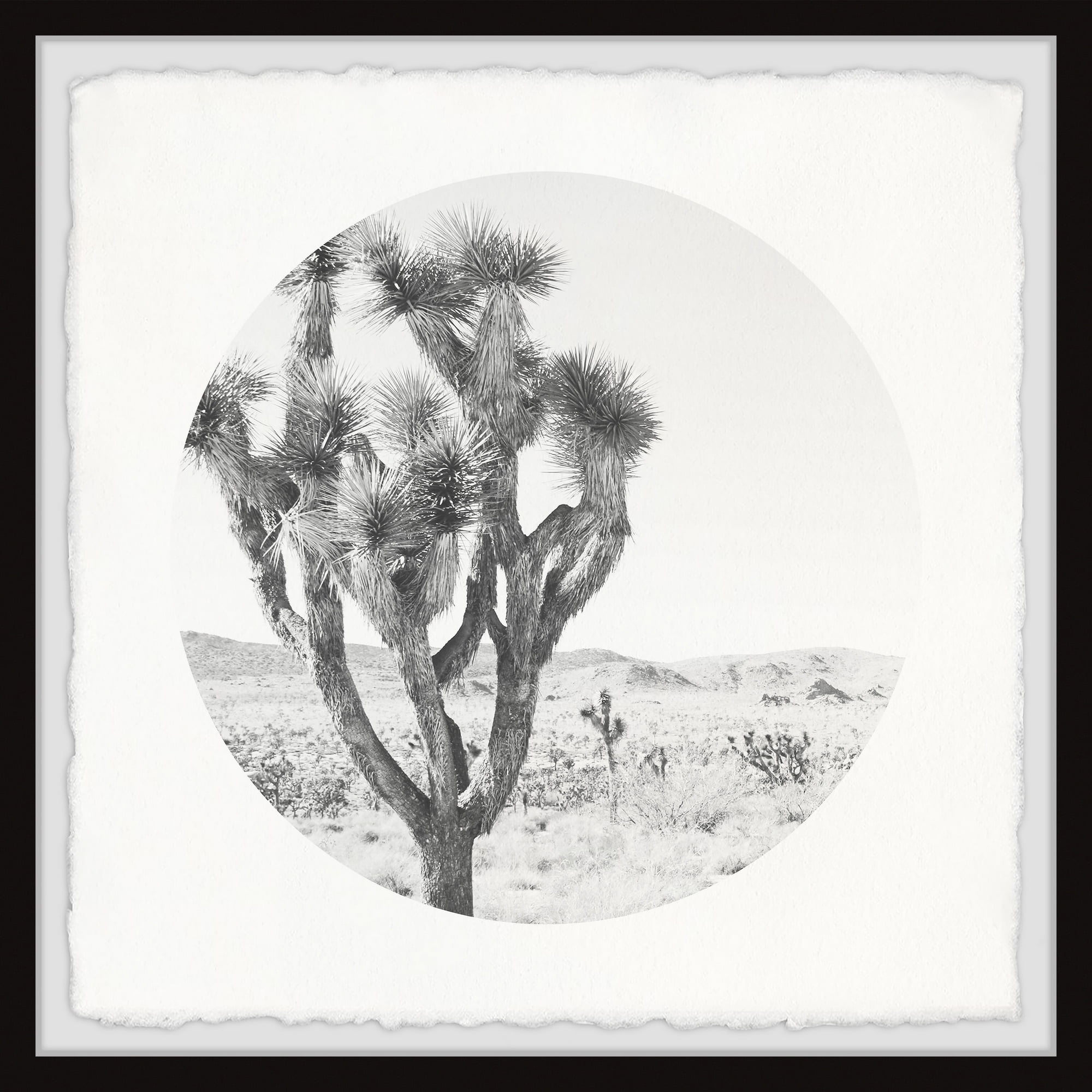 Monochrome Desert Cacti Landscape Framed Wall Art, 12" x 12"