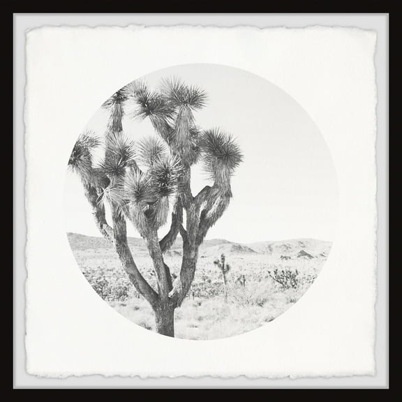 Marmont Hill Desert Cacti Framed Wall Art, 12" x 12"