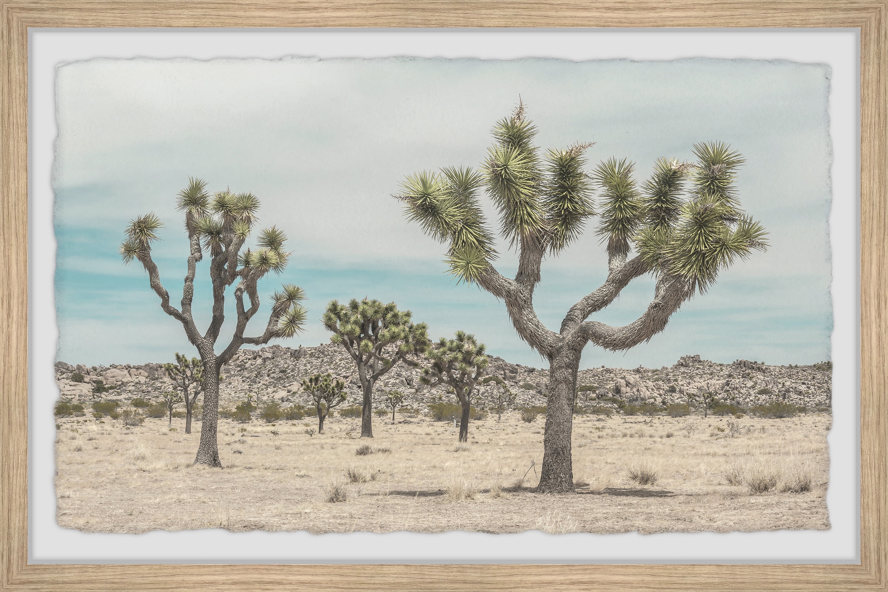 Desert's Beauty Framed Landscape Print in Light Brown Frame