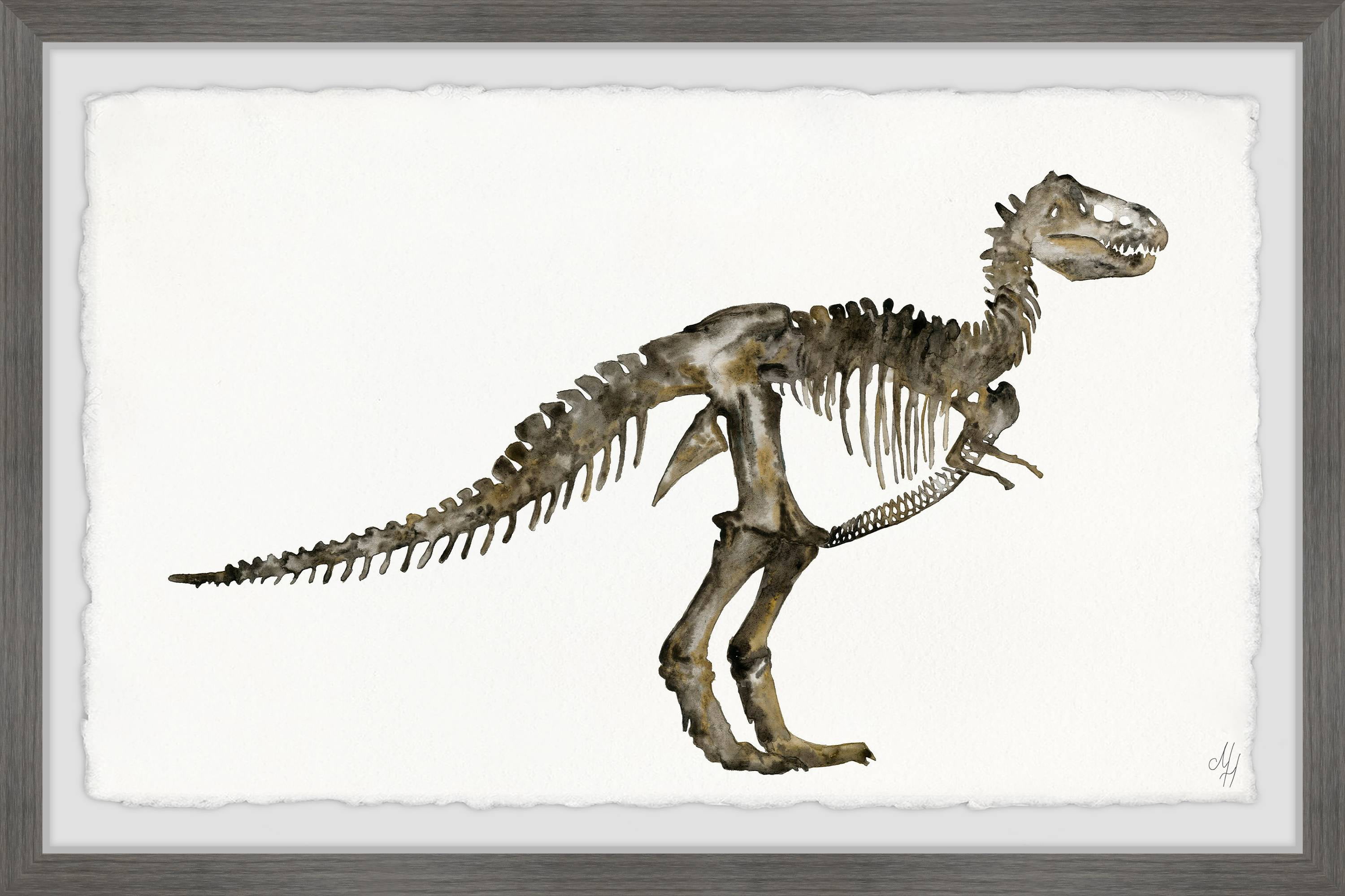 Marmont Hill Dinosaur Skeleton Framed Wall Art