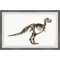 Marmont Hill Dinosaur Skeleton Framed Wall Art