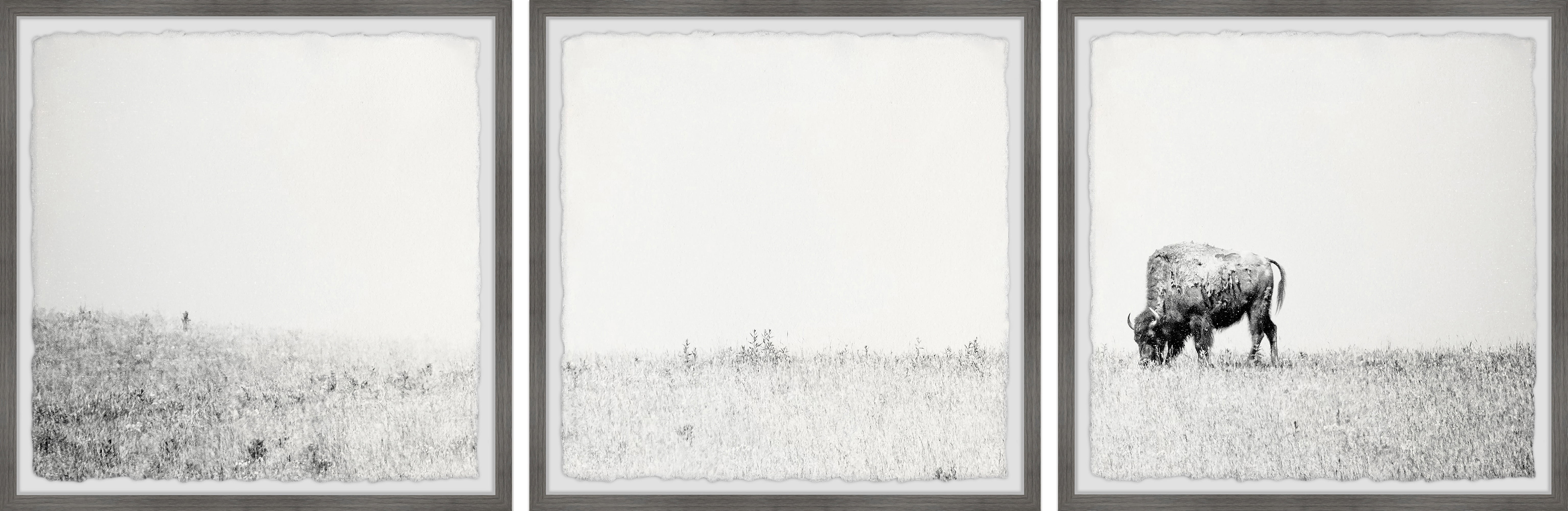 Marmont Hill Distant Grazing II Triptych, 32" x 96"
