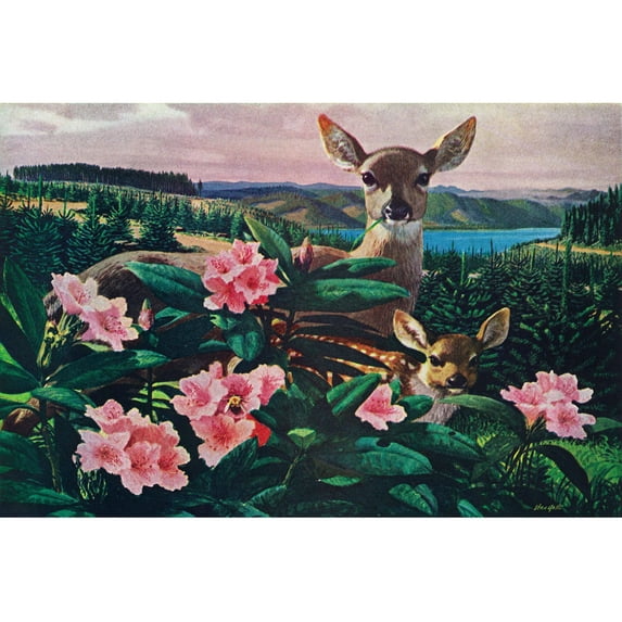 Marmont Hill "Doe and Fawn" Painting Print on Wrapped Canvas