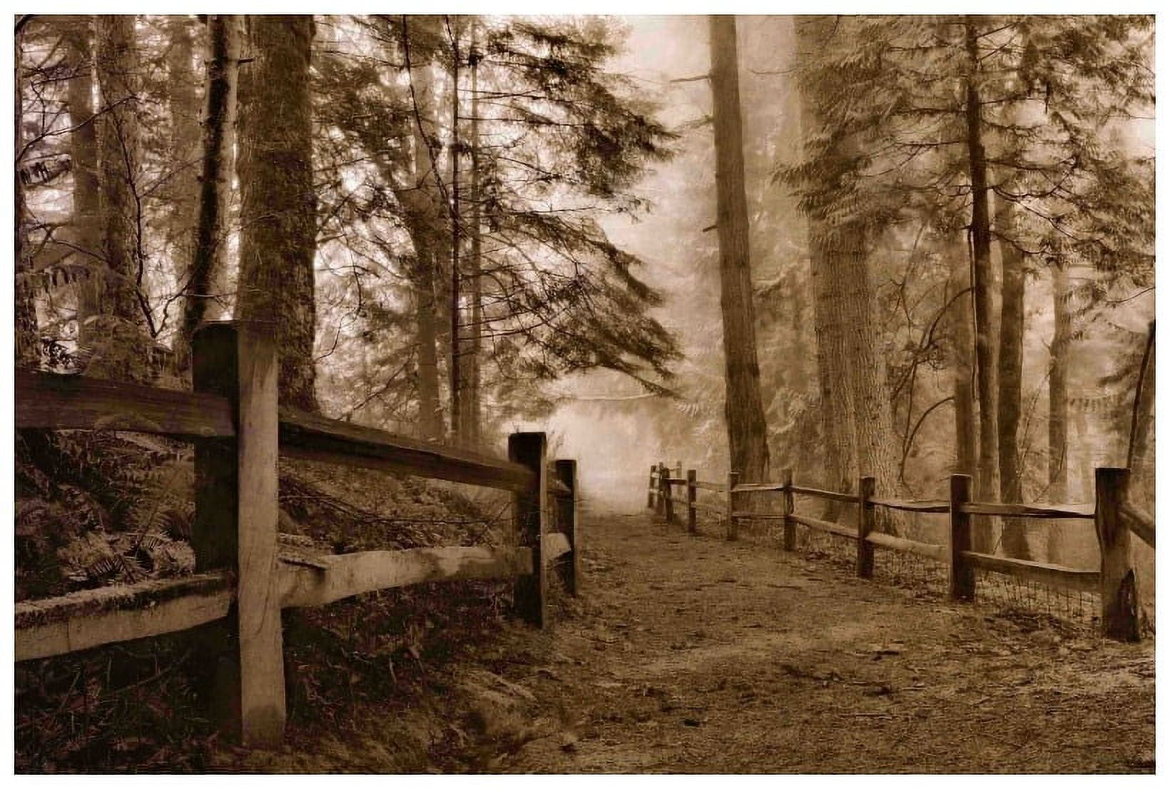 Marmont Hill "Down the Misty Path" Painting Print on Canvas