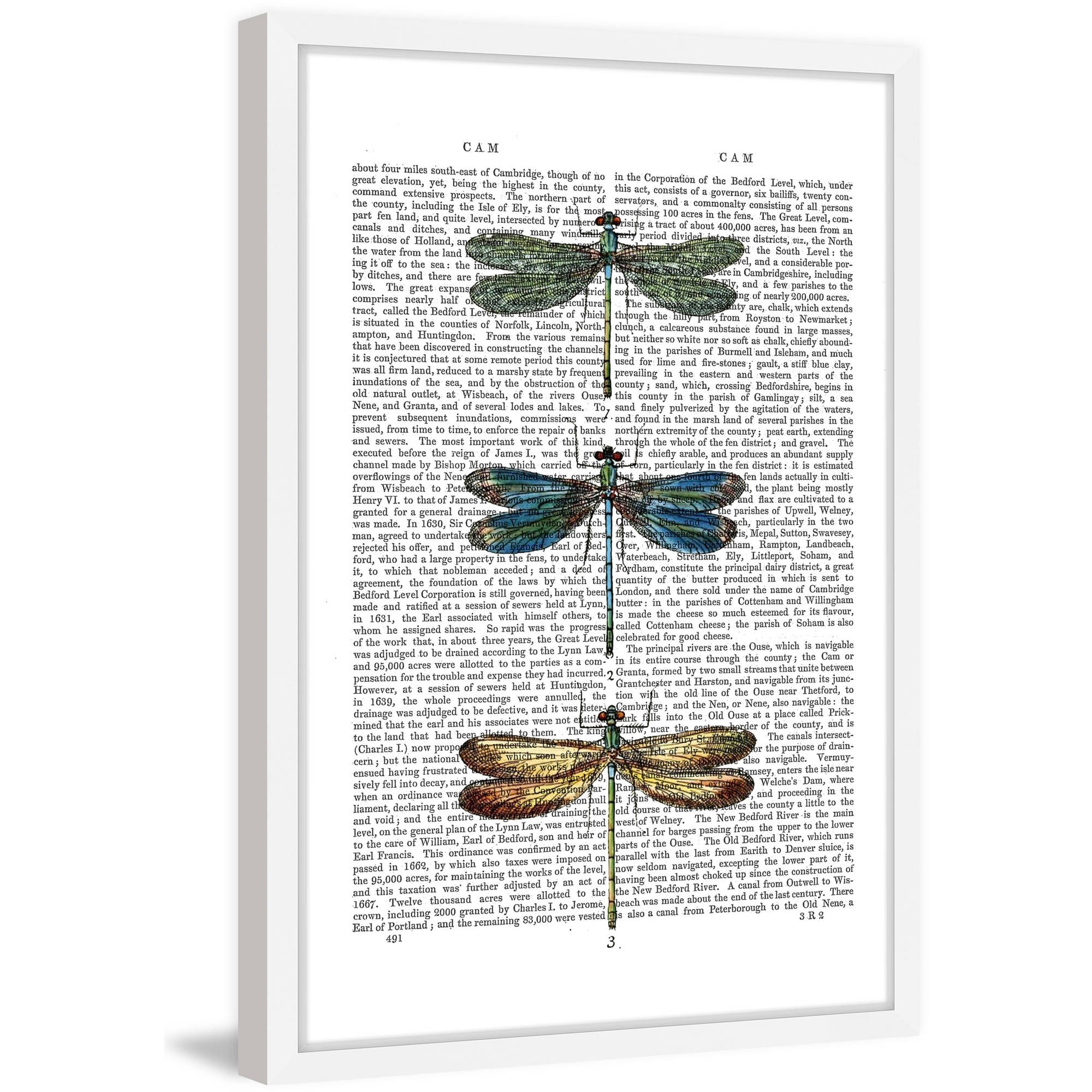 Marmont Hill "Dragonflies Print 1" Framed Painting Print
