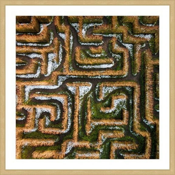 Marmont Hill "Earth Maze" by Karolis Janulis Framed Painting Print