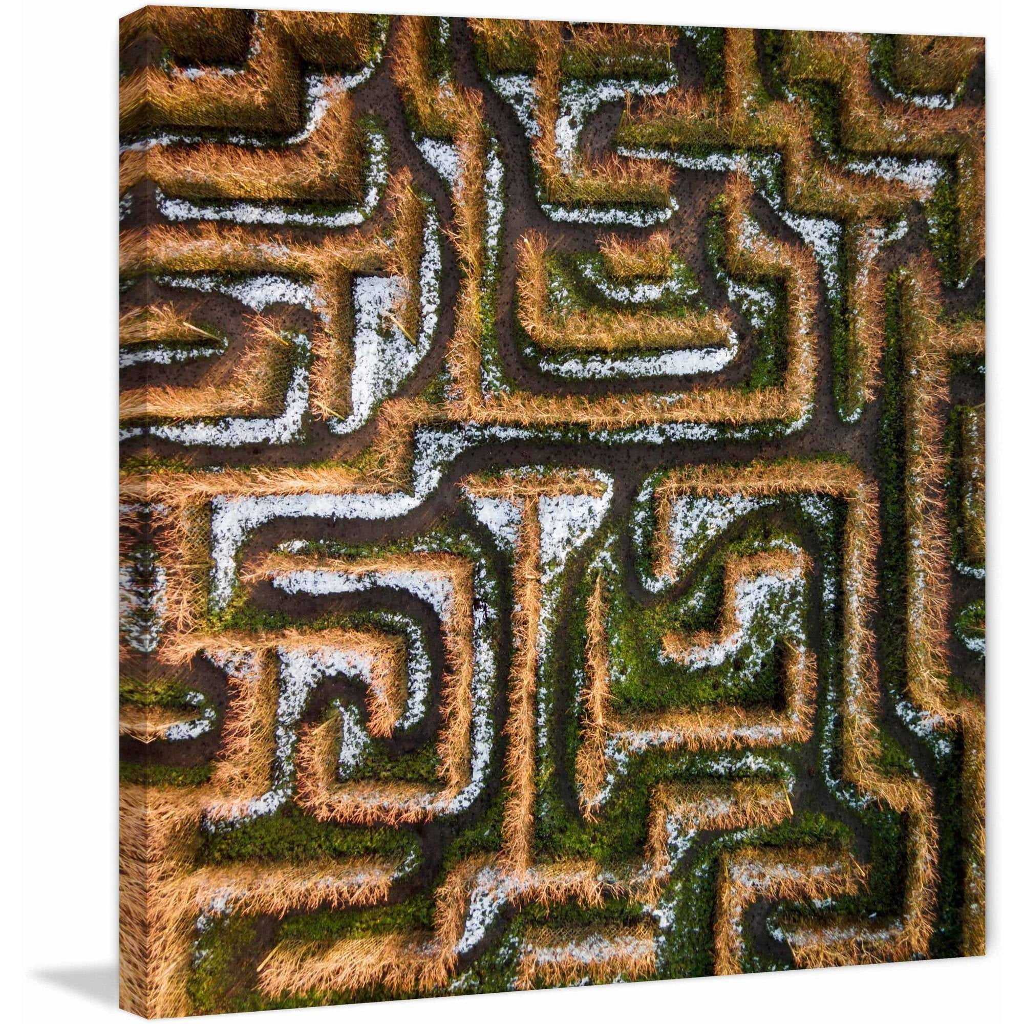 Marmont Hill "Earth Maze" by Karolis Janulis Painting Print on Wrapped Canvas