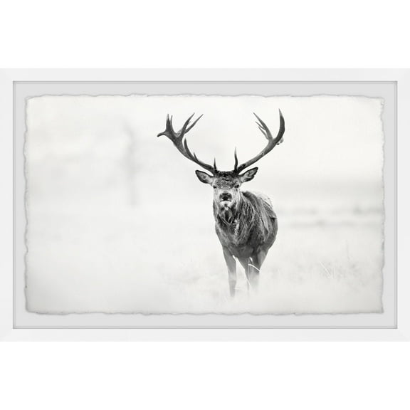 Marmont Hill Elk Stare Framed Wall Art