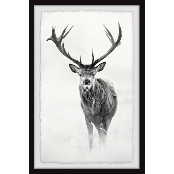 Marmont Hill Elk Stare II Framed Wall Art