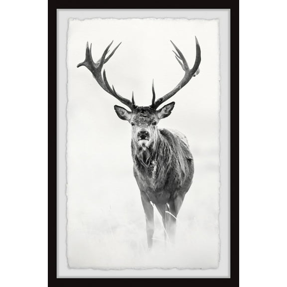 Marmont Hill Elk Stare II Framed Wall Art