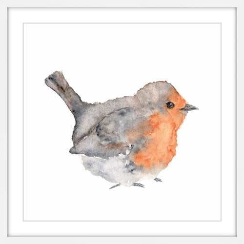 Marmont Hill "English Robin" by Thimble Sparrow Framed Painting Print