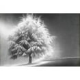 thumbnail image 1 of Marmont Hill "Enlightened Tree" Painting Print on Canvas, 1 of 7