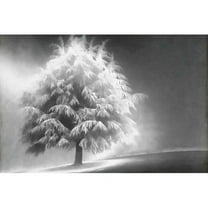 Marmont Hill "Enlightened Tree" Painting Print on Canvas