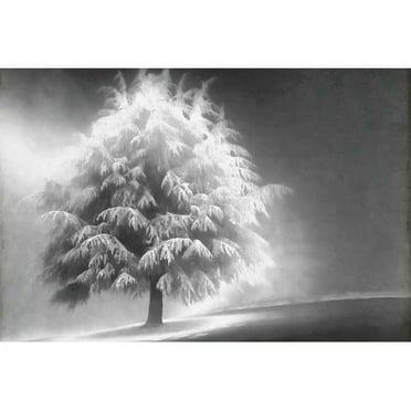 Marmont Hill "Enlightened Tree" Painting Print on Canvas