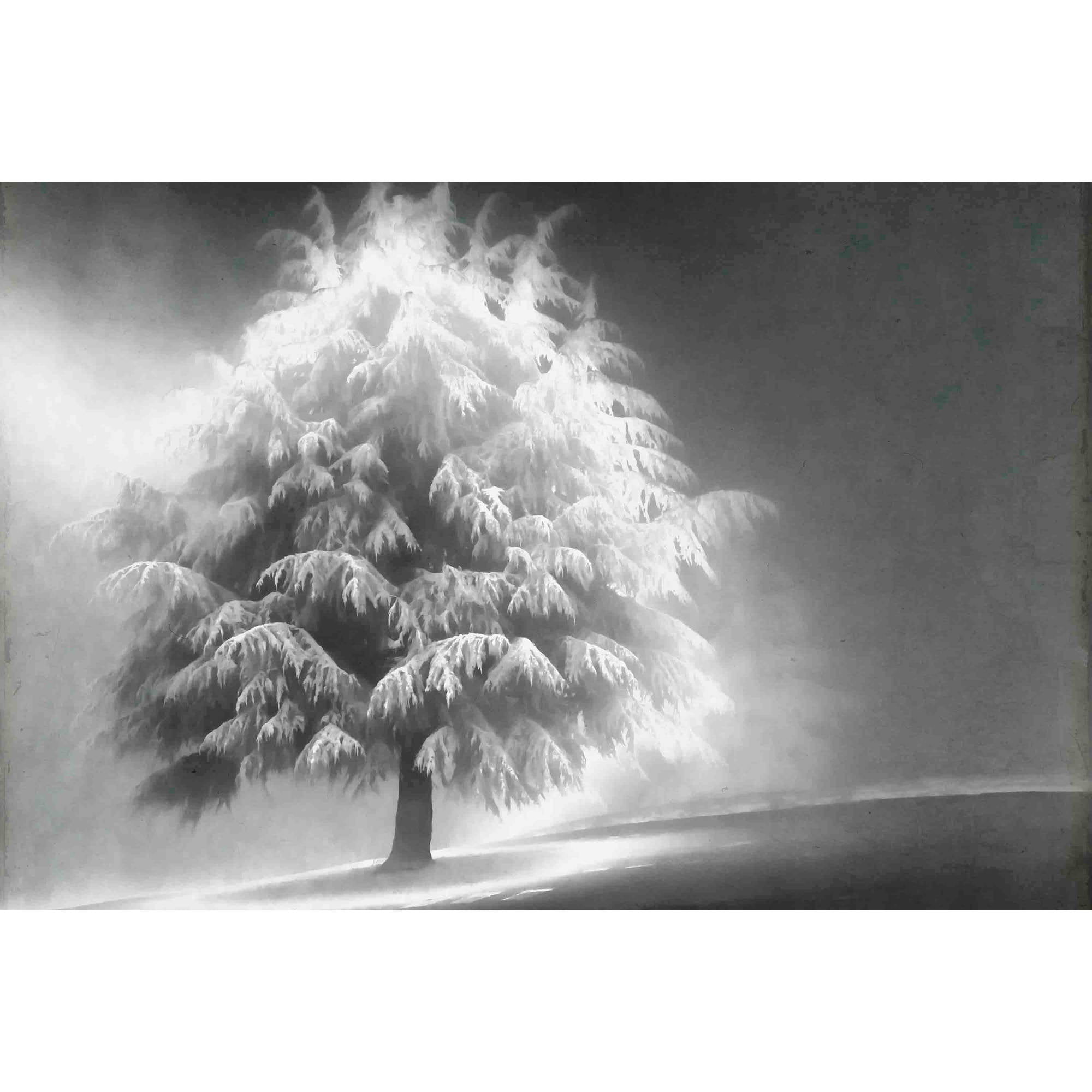 Marmont Hill "Enlightened Tree" Painting Print on Canvas