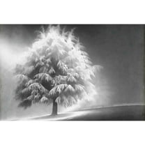 Marmont Hill "Enlightened Tree" Painting Print on Canvas