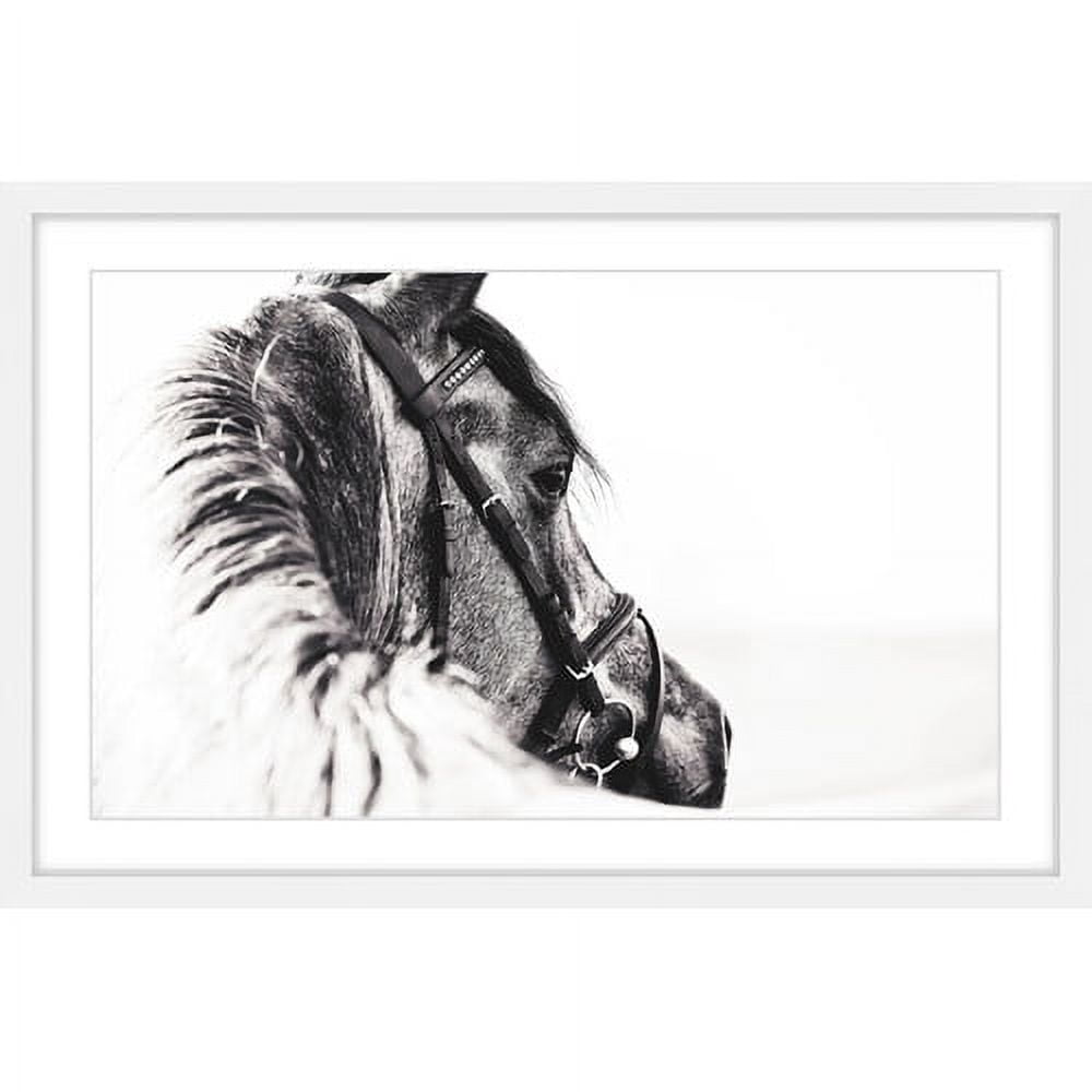 Marmont Hill "Equus Profile" Framed Painting Print