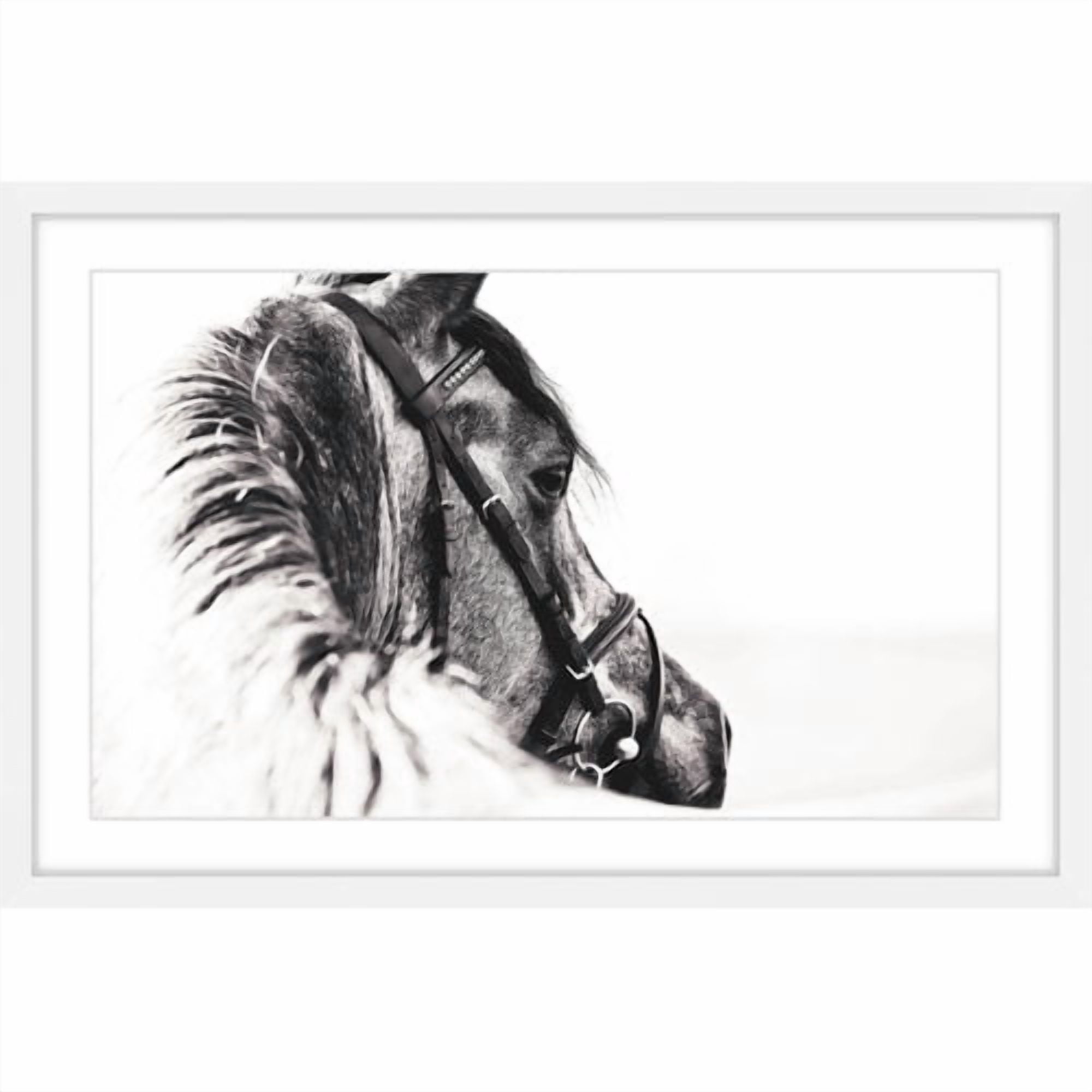 Marmont Hill "Equus Profile" Framed Painting Print