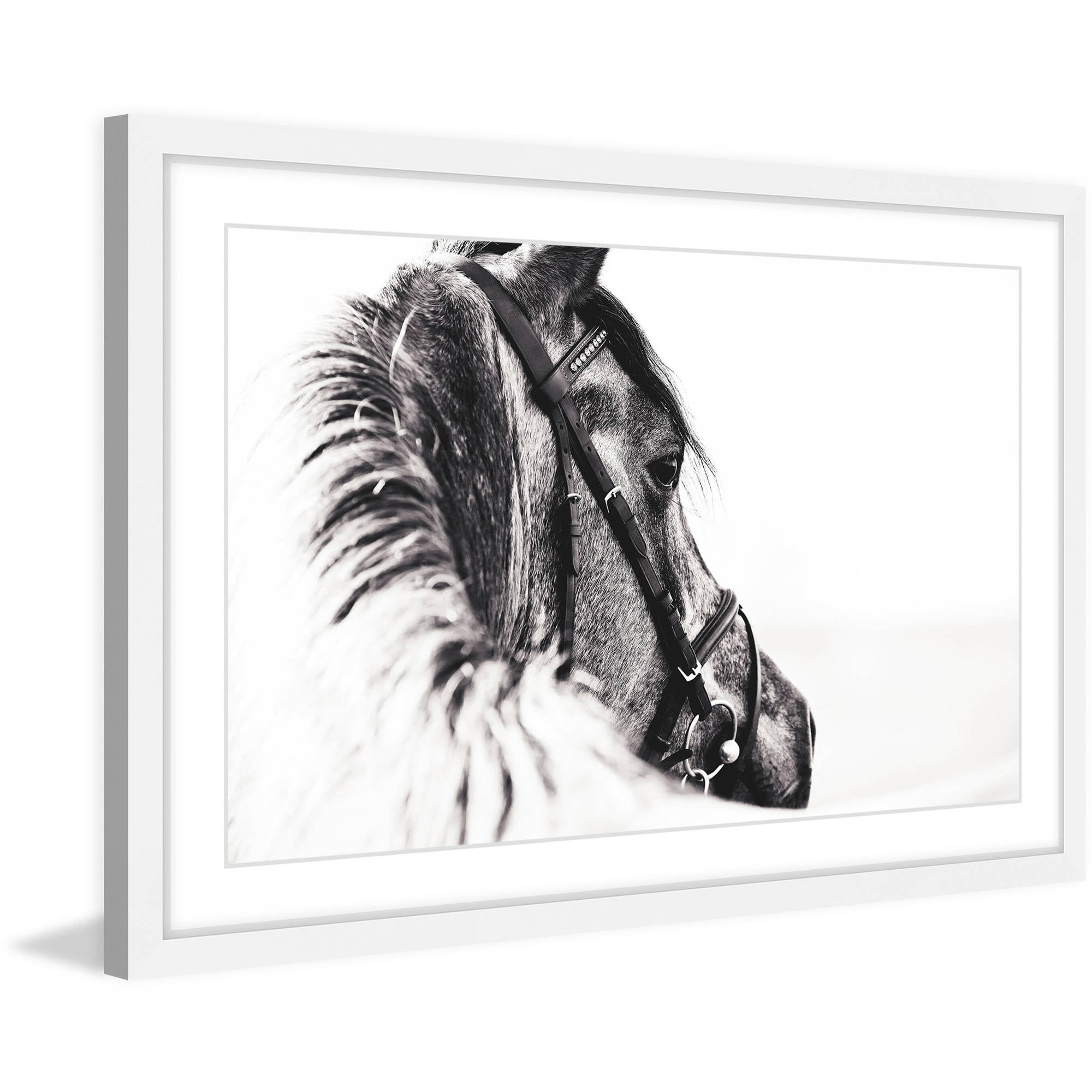 Marmont Hill "Equus Profile" Framed Painting Print