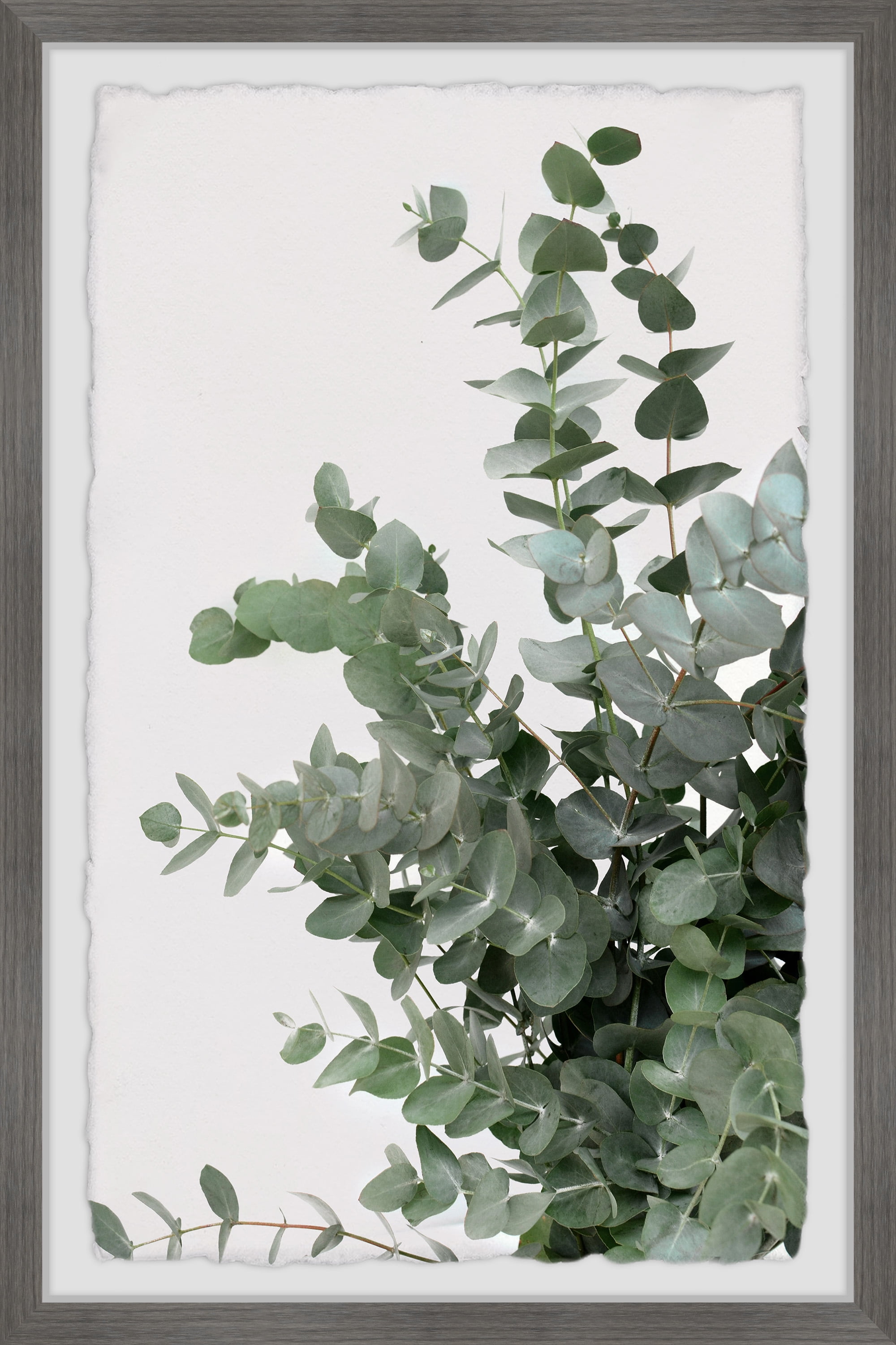 Green Eucalyptus Print in Gray Wood Frame, 24" x 16"