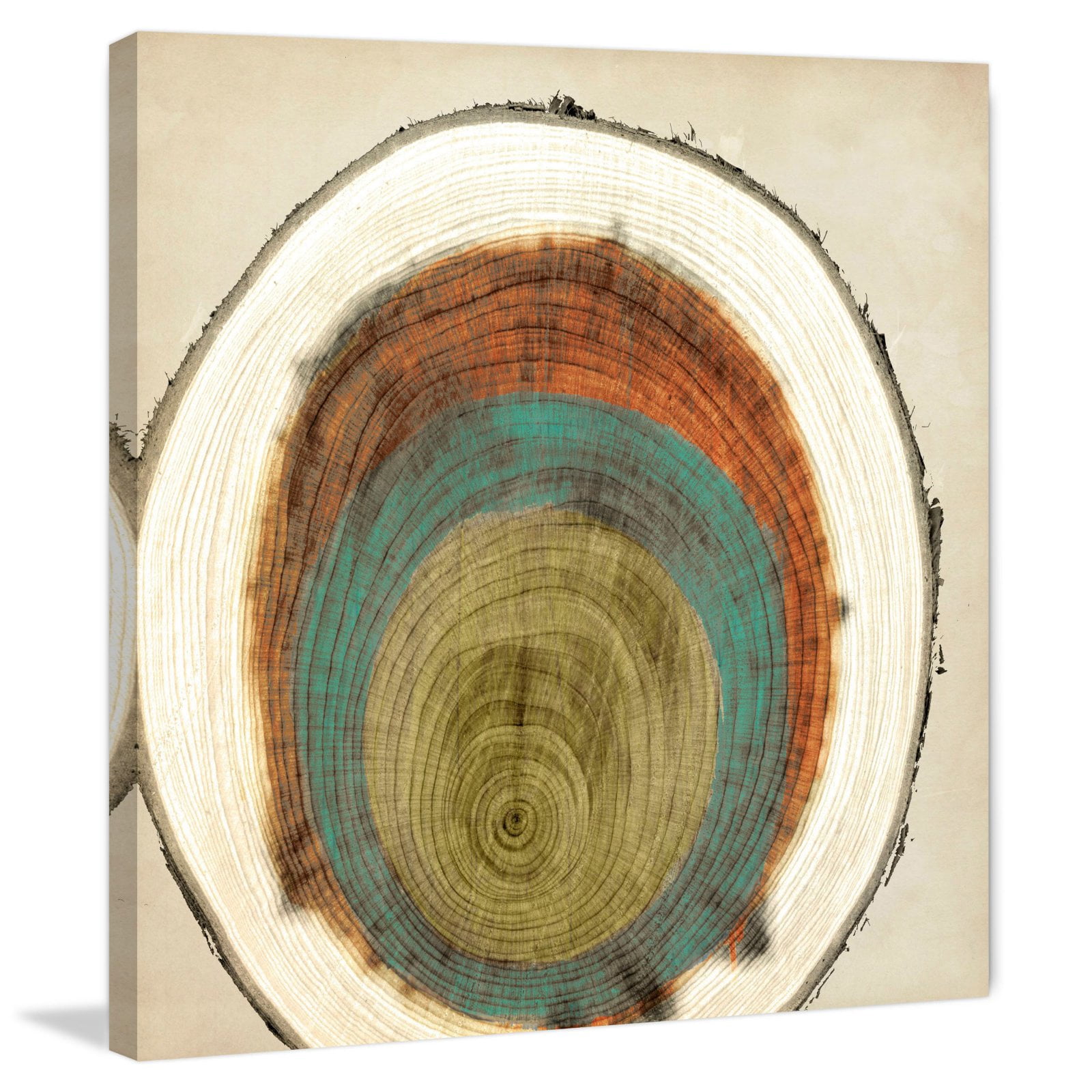 Marmont Hill "Expanding Rings" Painting Print on Wrapped Canvas