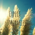 thumbnail image 1 of Marmont Hill 'Expect Miracles Text' by Robin Delean Painting Print on Wrapped Canvas, 1 of 7