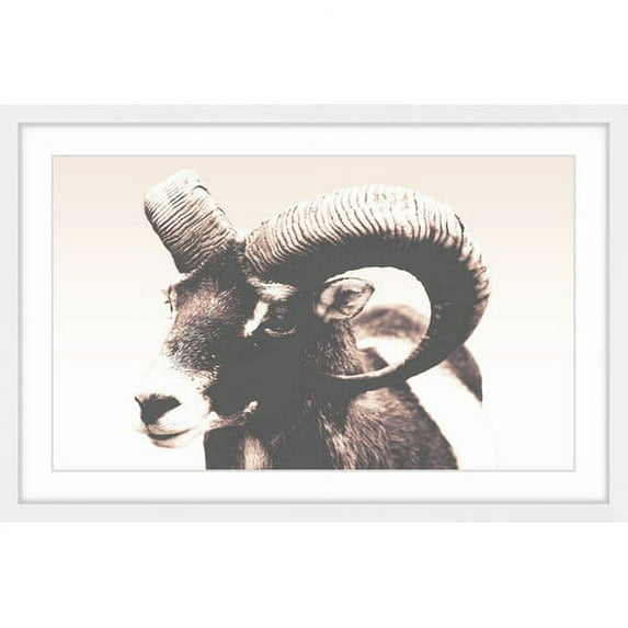 Marmont Hill "Eye of Ram" Framed Painting Print