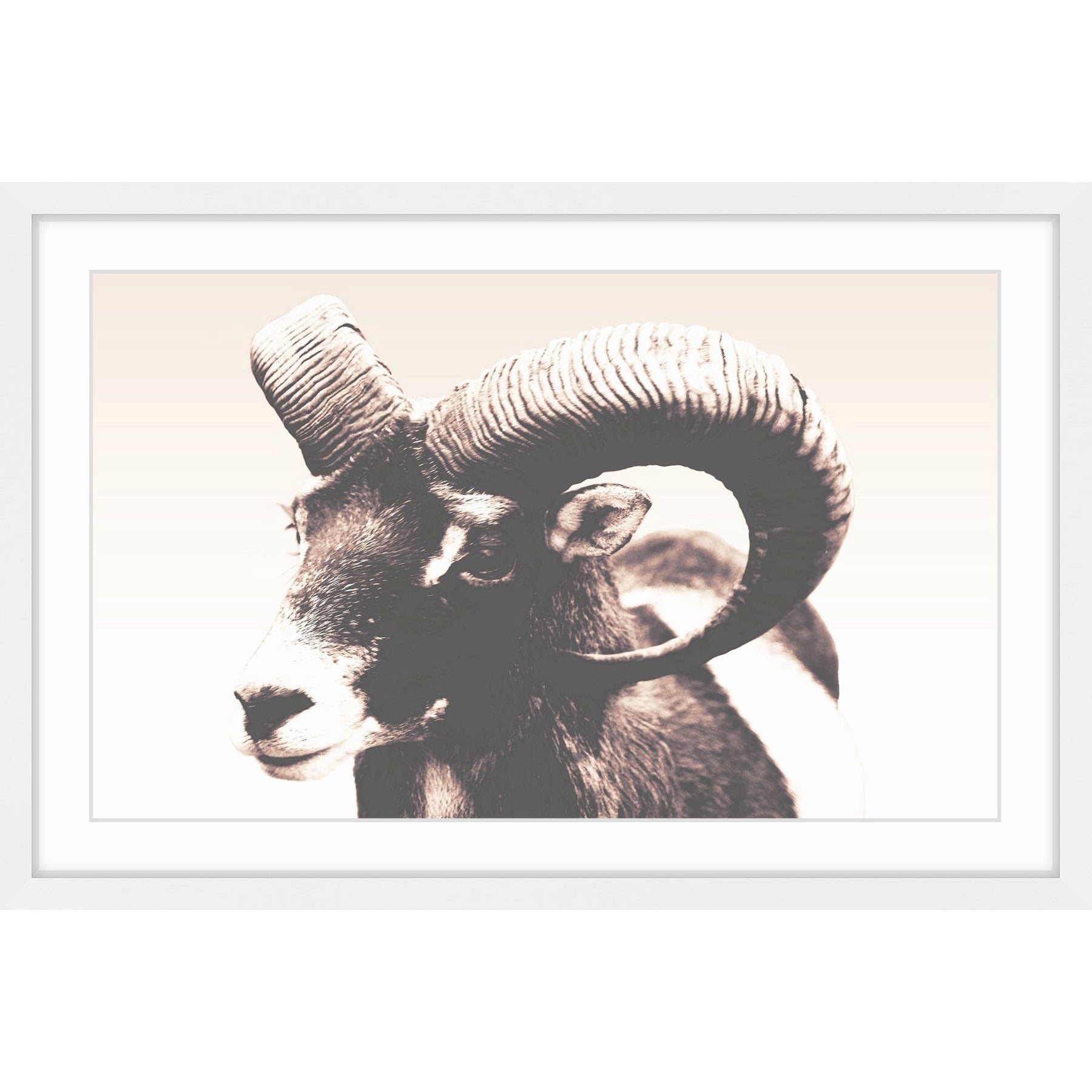 Marmont Hill "Eye of Ram" Framed Painting Print