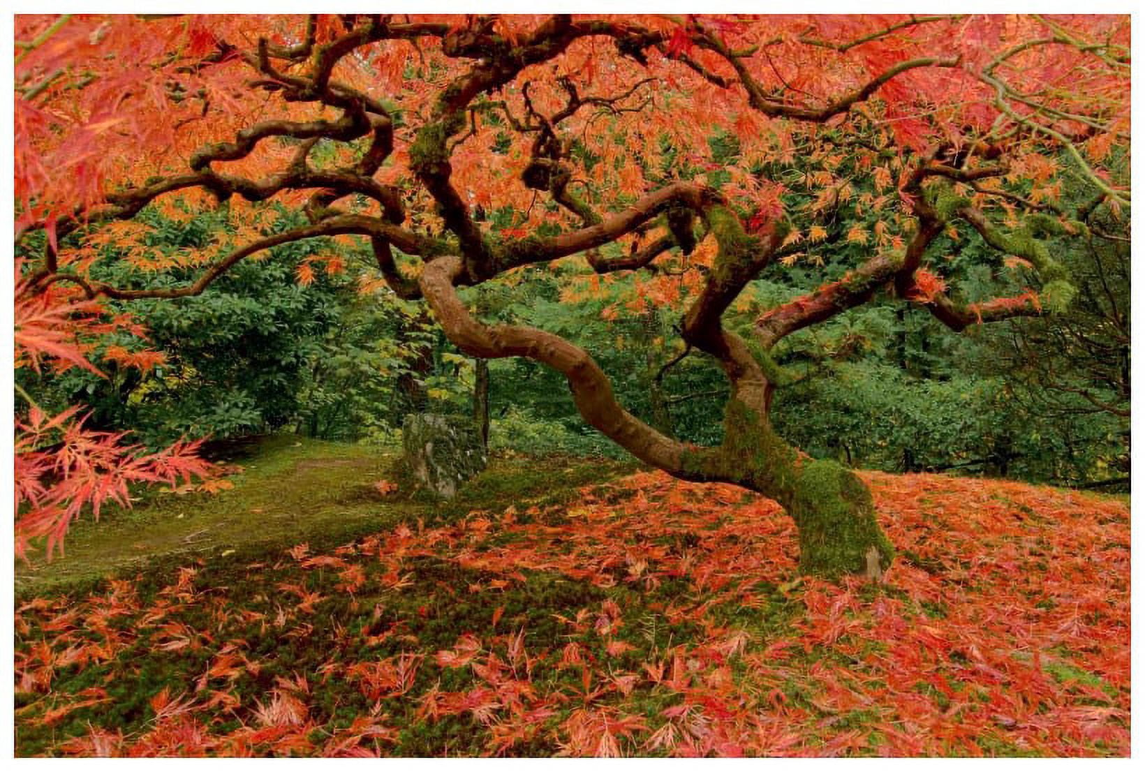 Marmont Hill "Fallen Leaves" Painting Print on Canvas